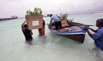 Sustainable development of Small Island Developing States a global litmus test "We want more than just survival. We strive for sustainable development." – FAO Director General at SIDS Summit in Samoa